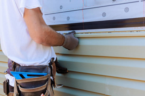 Best Insulated Siding Installation  in Somerton, AZ